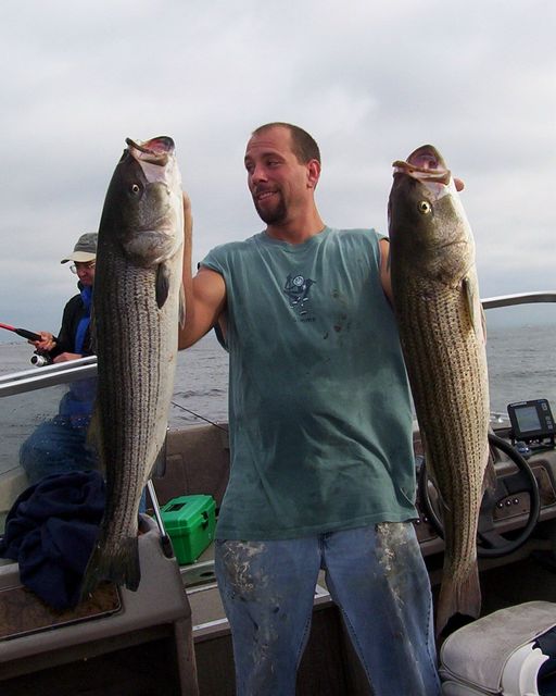 Pair of Stripers