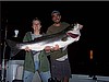 Joppa Flatts nightime fishing with eels