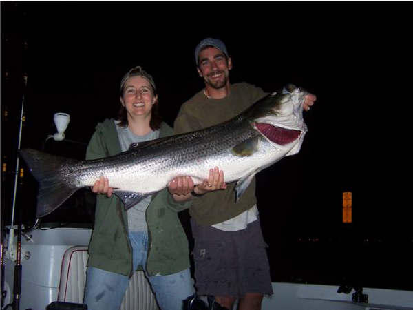 Joppa Flatts nightime fishing with eels