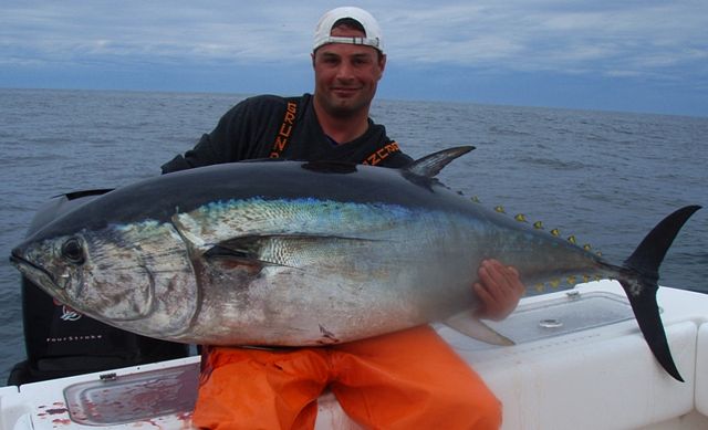 Tuna on Shimano Spinning Combo