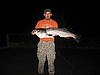 Big night time striper